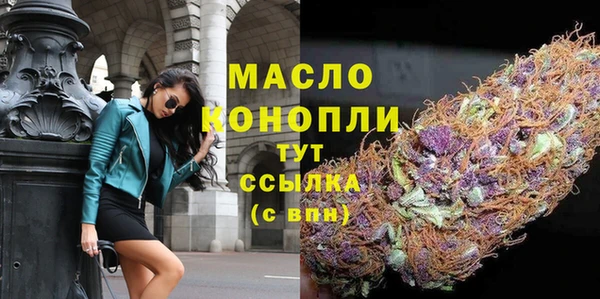 МДПВ Дмитриев