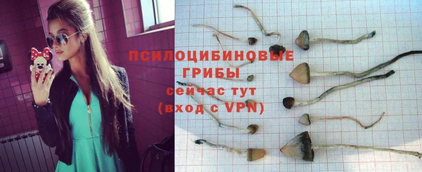 МДПВ Дмитриев